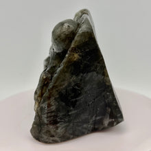 Load image into Gallery viewer, Labradorite Octopus Carving