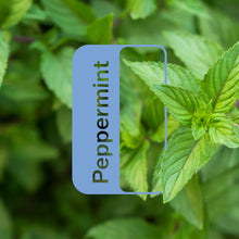 Load image into Gallery viewer, Peppermint Essential Oil