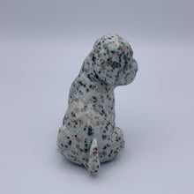 Load image into Gallery viewer, Kiwi Jasper Dog
