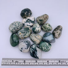 Load image into Gallery viewer, Tree Agate Tumble