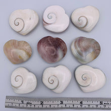 Load image into Gallery viewer, Shiva Shell Heart
