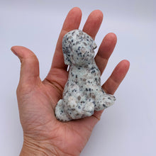 Load image into Gallery viewer, Kiwi Jasper Dog