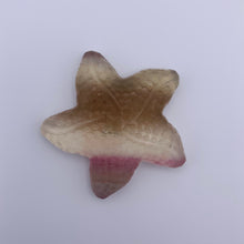 Load image into Gallery viewer, Fluorite Starfish Carvings