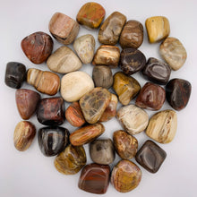 Load image into Gallery viewer, Petrified Wood Tumble