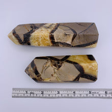 Load image into Gallery viewer, Septarian Tower