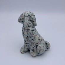 Load image into Gallery viewer, Kiwi Jasper Dog