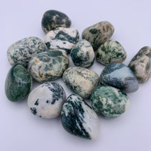 Load image into Gallery viewer, Tree Agate Tumble