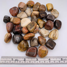 Load image into Gallery viewer, Petrified Wood Tumble