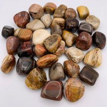 Load image into Gallery viewer, Petrified Wood Tumble