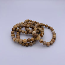 Load image into Gallery viewer, Picture Jasper Bracelet