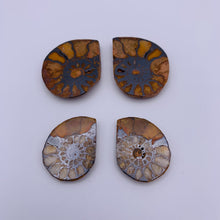 Load image into Gallery viewer, Ammonite Fossil