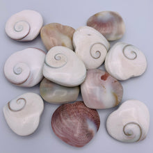 Load image into Gallery viewer, Shiva Shell Heart