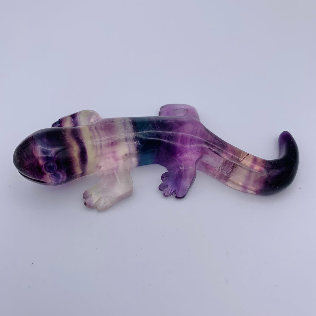 Salamander Carving