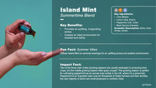 Load image into Gallery viewer, Island Mint Essential Oil
