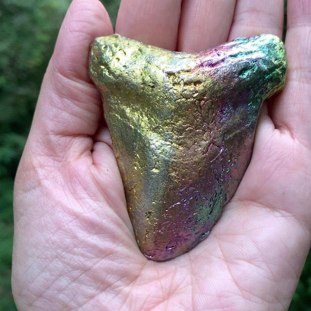 Bismuth Megalodon Tooth 1