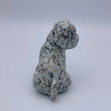 Load image into Gallery viewer, Kiwi Jasper Dog
