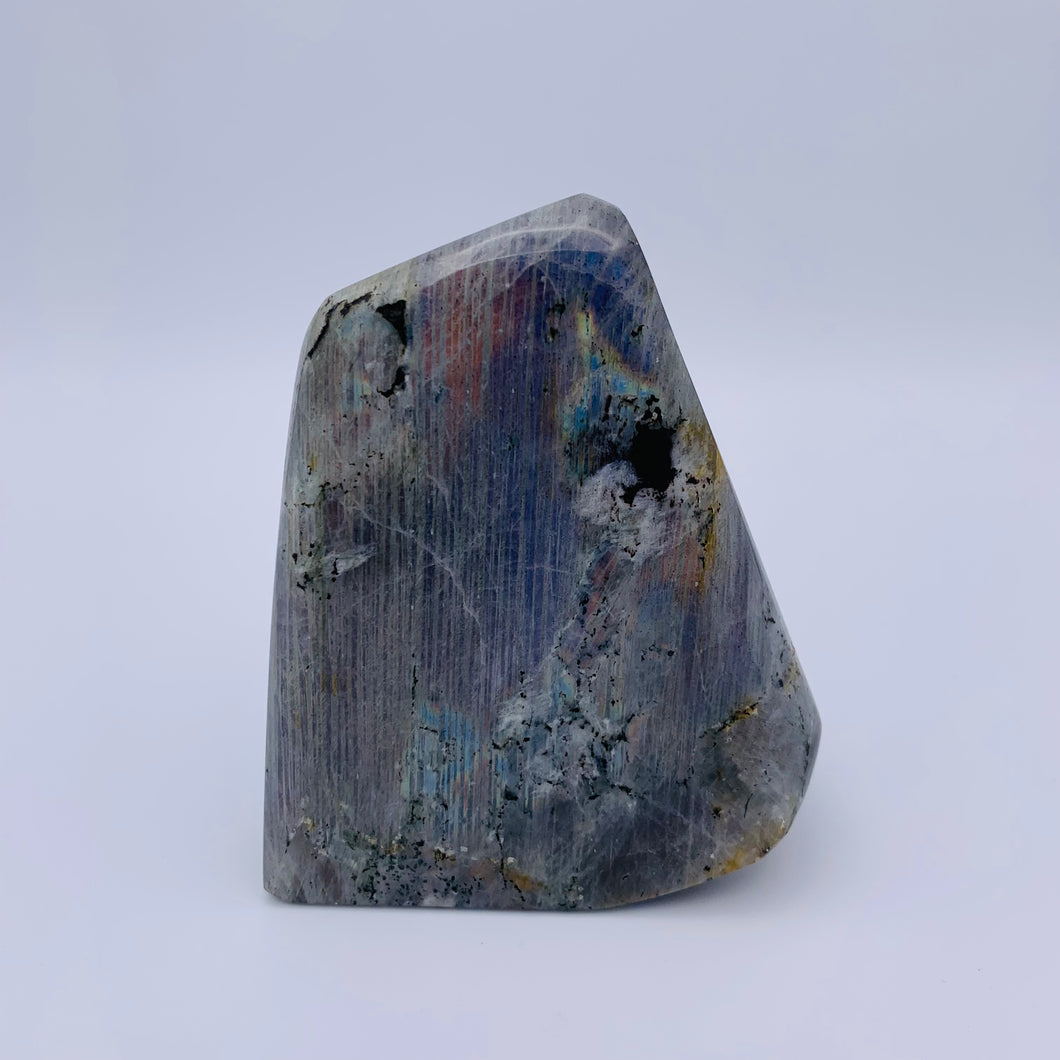 Purple Rainbow Spectrolite Freeform 1