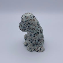 Load image into Gallery viewer, Kiwi Jasper Dog

