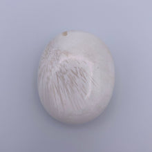Load image into Gallery viewer, Scolecite Heart + Palm Stone
