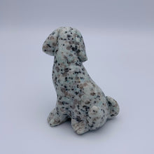 Load image into Gallery viewer, Kiwi Jasper Dog
