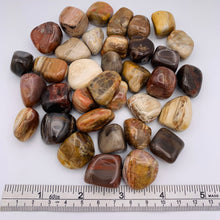 Load image into Gallery viewer, Petrified Wood Tumble
